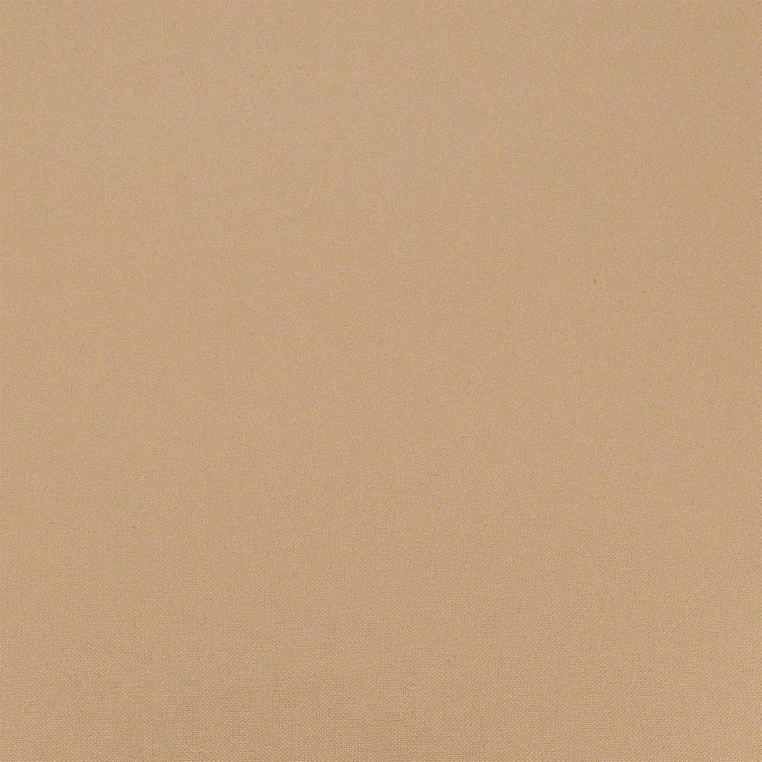 FR Poly - Camel (224)