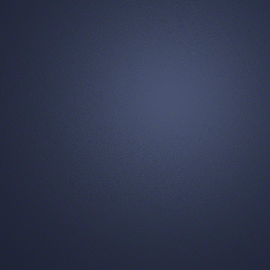 Indigo (IN)