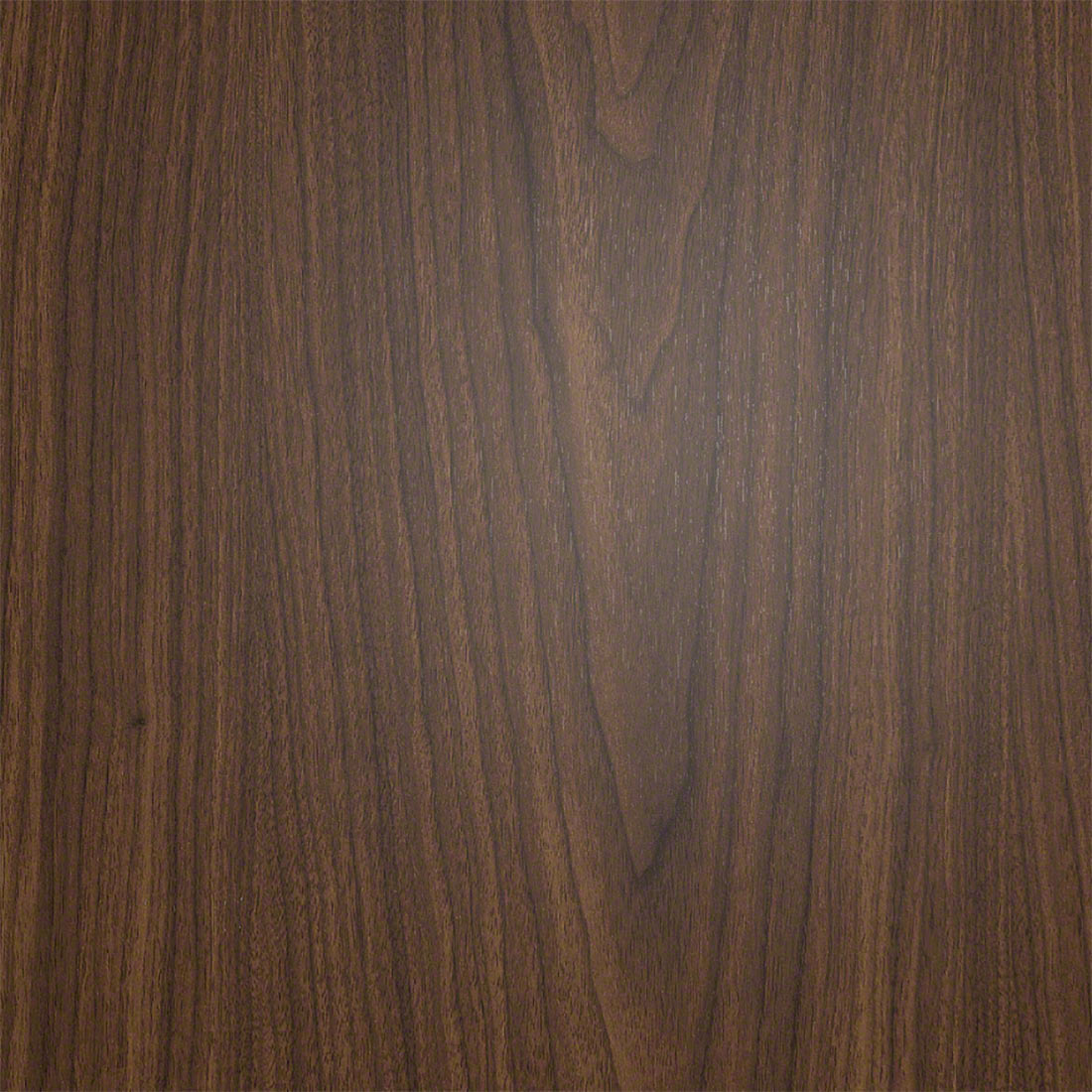 Montana Walnut (WT)