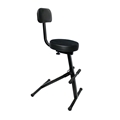 ProX Portable Foam Padded Adjustable Gig Chair