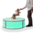 Lumo Stage Acrylic Dance Stage
