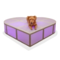 ProX Lumo Stage 6' Heart-Shaped Acrylic Stage w/Optional Lights