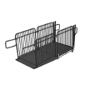 Biljax Wheelchair Ramp for 8" High ST8100 and AS2100 Stages