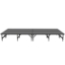 Staging 101 8'x16' Portable Stage, 24"-32" Adjustable Height - STAGE12832