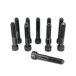 IntelliStage Guard Rail Mounting Screws (10-pack) IS10MS guardrails, parts
