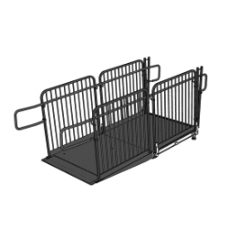 Biljax Wheelchair Ramp for 8